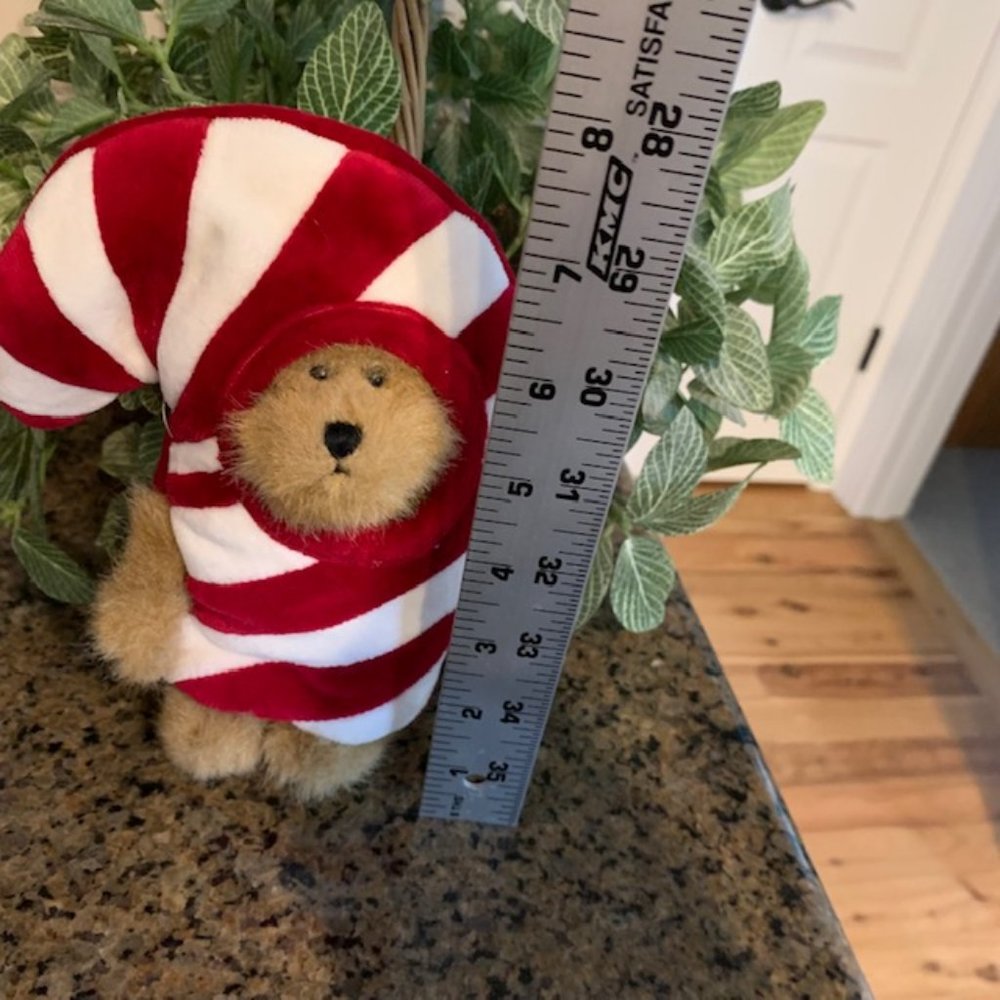 Boyds Bear - C.C. Peeker - Picture 3 of 5